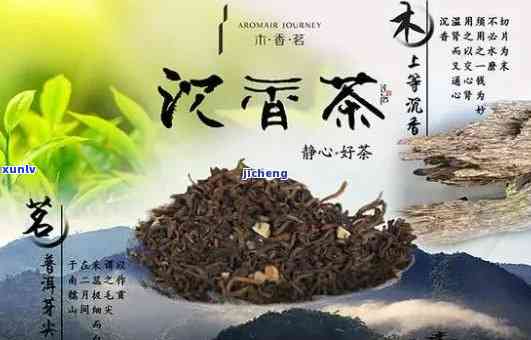 沉香与普洱茶的完美搭配：探究其独特的功效与作用