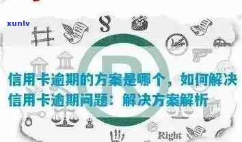 逾期信用卡的全方位解决方案：公司如何有效处理