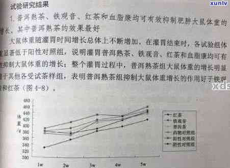 普洱茶饮用量：合适的每天饮用量与健效益探讨