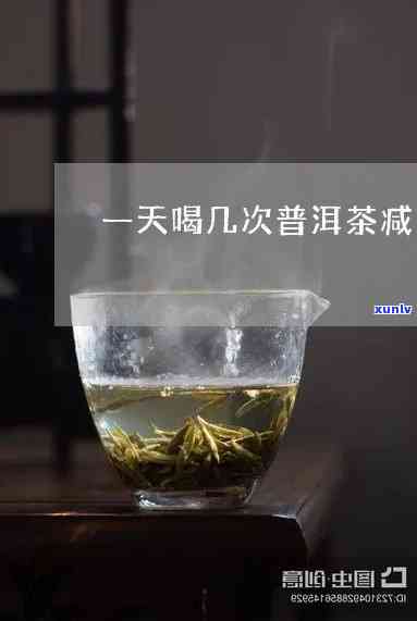 一天普洱茶一天绿茶