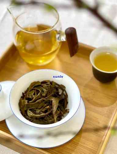 一天普洱茶一天绿茶