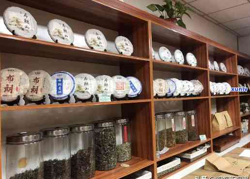 新 '天猫精选普洱茶专卖店，茶叶专家的推荐'