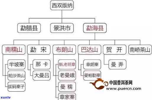 云南普洱茶十大家族