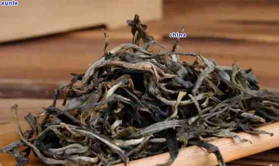 古树普洱茶品种大全：了解各类古树普洱茶品种，品味不同的口感与品质。