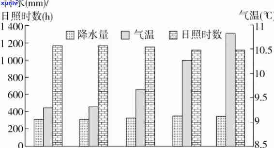 揭秘云南普洱茶产地的四气候变化与度关系