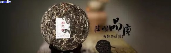 普洱茶品鉴完：一款茶叶背后的故事