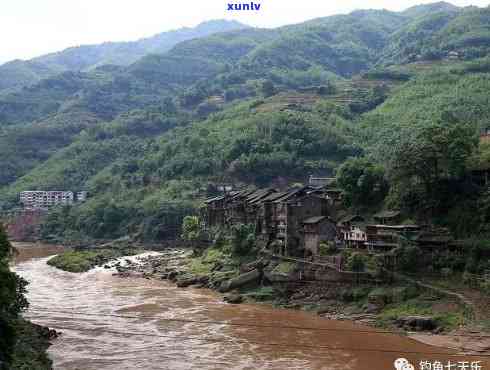 赤水河：地理位置、历史背景、旅游景点及当地特色全方位解析