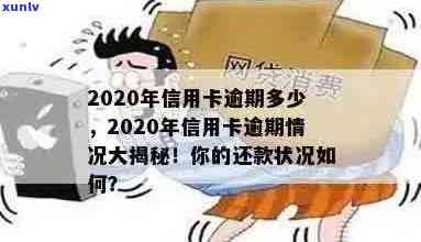 2020年信用卡逾期还款是否影响个人？了解详细情况