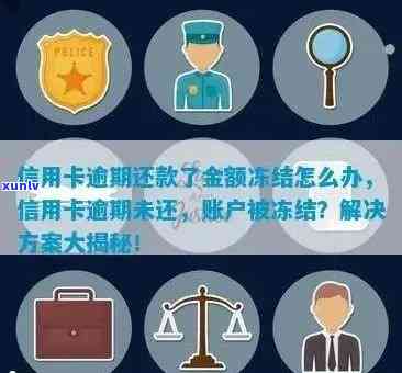 逾期贷款和信用卡冻结解冻全面指南：如何处理、恢复信用及预防未来问题