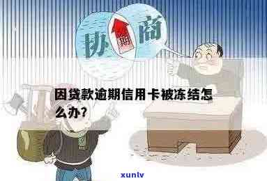 因贷款逾期信用卡冻结