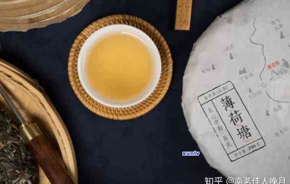 疆说普洱茶能喝吗