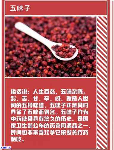 五味子与普洱茶的独特配方：一场味觉和健的双重宴