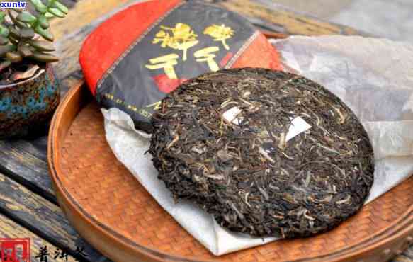 普洱茶一生三个阶