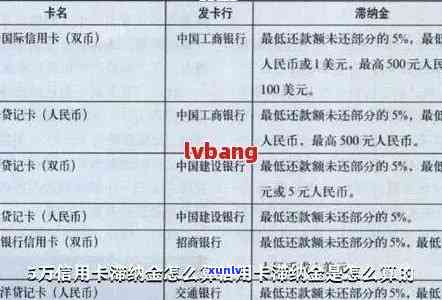 信用卡逾期明细表格全面解析与解决方案：如何处理逾期账单和避免信用损失