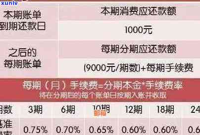 信用卡逾期明细表格全面解析与解决方案：如何处理逾期账单和避免信用损失