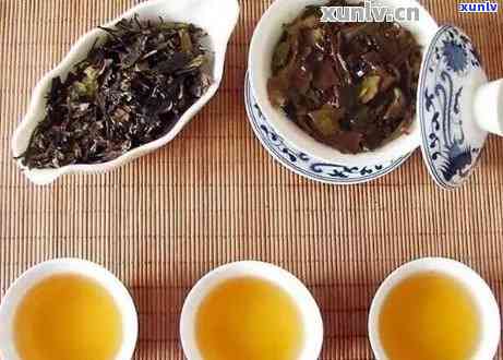 普洱茶：陈年佳品还是新茶美味？哪个更适合您？