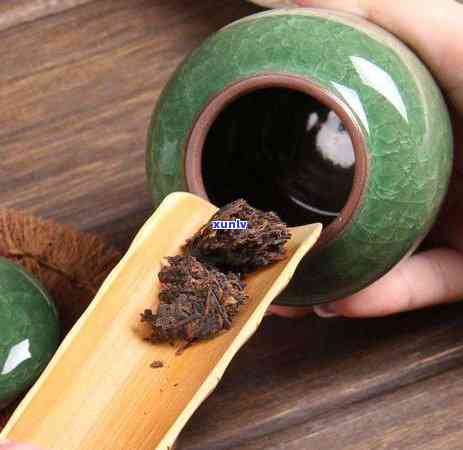 探究普洱茶冲泡的合适比例与一次冲泡所需的茶叶量