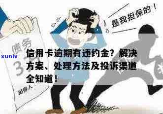 被抓后信用卡逾期处理指南：如何避免违约金与解决逾期问题