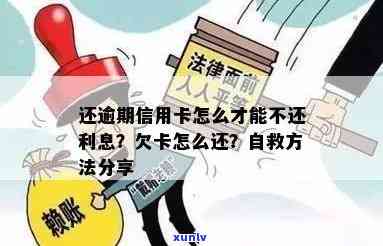 信用卡逾期最忌四点还款，欠信用卡逾期后怎么还？自救办法