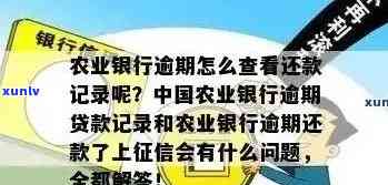 如何查询农业银行信用卡逾期情况及记录