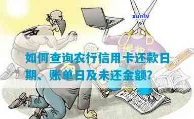 怎么查农行信用卡有没有逾期还款？