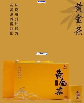 珍好黄金普洱茶官网：全面了解普洱茶、购买渠道、品鉴技巧及最新活动信息