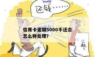 信用卡逾期5000四天