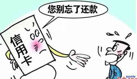 普洱茶和山楂能一起泡水喝吗：孕妇、女性及两者共泡的功效与作用。