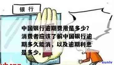 中国银行逾期费用详细解析：了解各种逾期情景下需要支付的费用及计费方式