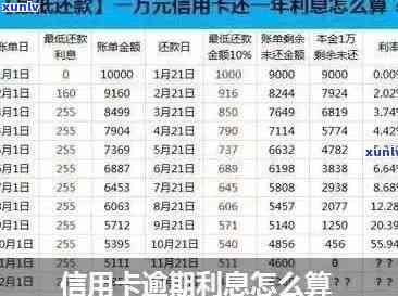 全面解析：8592紫天普洱茶的价格、质量、及购买建议