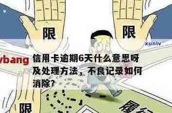 信用卡逾期怎样停催债：消除不良记录，停止利息收取，恢复信用