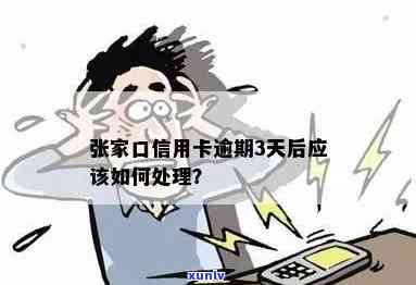 张家口银行信用卡逾期3天可能带来的后果及解决办法，你了解多少？