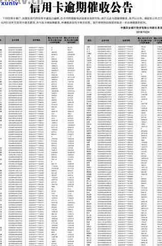 武邑县逾期信用卡人员信息查询名单