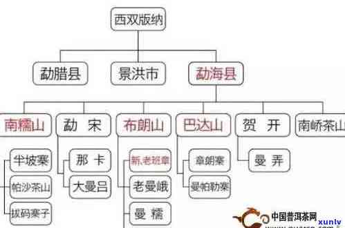 普洱茶名字大全：全面了解普洱茶品种、产地、口感及冲泡 *** 的权威指南