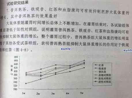 普洱茶在三个月内对减肥的影响：医生的专业建议和实际效果探究