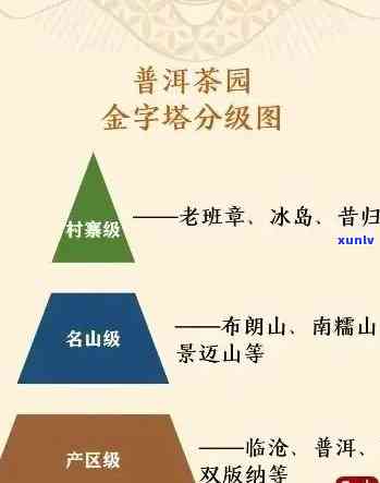 普洱茶级别对比：1级与5级茶叶的品质、口感及收藏价值全面解析