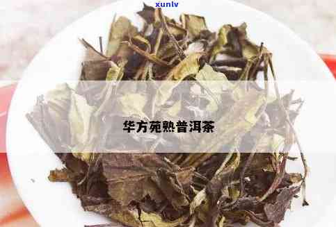 华方苑普洱茶多少钱