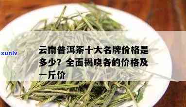 普洱茶十大名牌价位