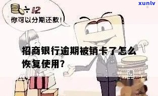 招商银行逾期还款后被销户，如何恢复额度并避免类似问题再次发生？