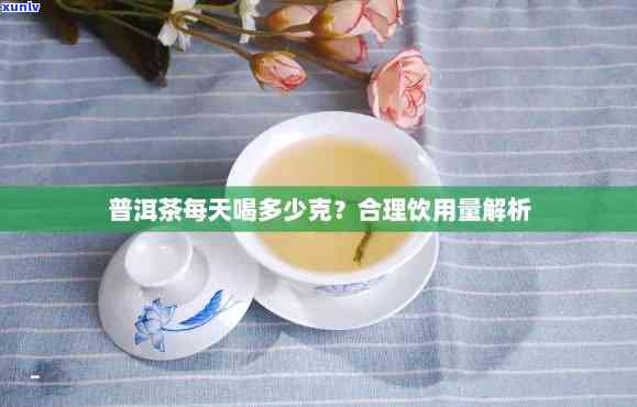 普洱茶饮用量：如何掌握每天合适的ml?