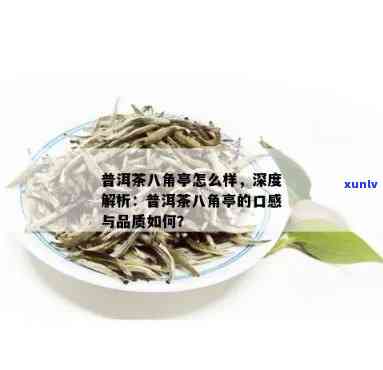 八角亭普洱茶：品味普洱茶的醇厚口感与独特品质解析