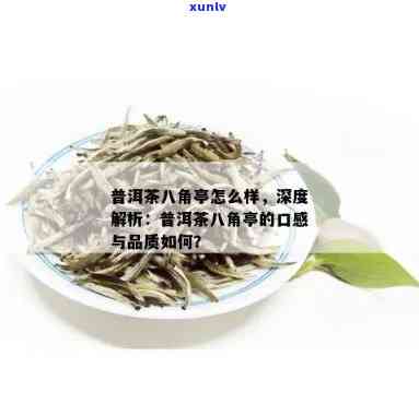 八角亭普洱茶：口感特点与独特风味探析