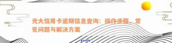 光大信用卡逾期查询全攻略：如何查询、解决及相关注意事项