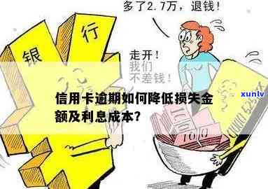 信用卡逾期利息减免：如何降低信用成本