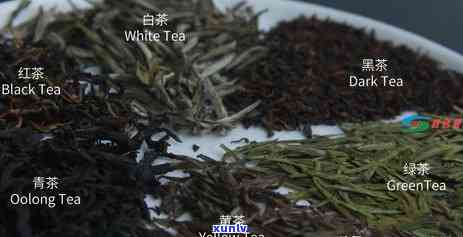 广西百色市特产：云白毫茶，茶香四溢的红茶佳品