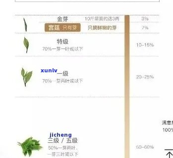 普洱茶等级划分详解：从一级到三级的标准与区别