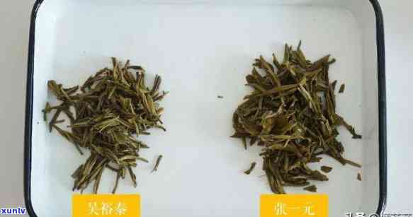 张一元茶和裕泰茶哪一种好：红茶与花茶的区别与比较