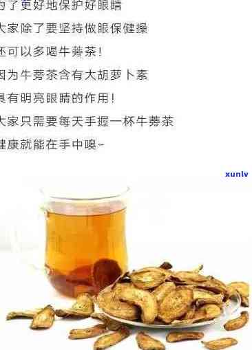 牛蒡茶和普洱茶一起泡：功效、是否可以同时泡及注意事项