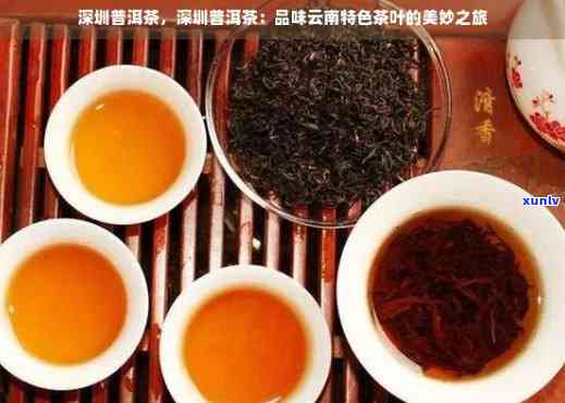 深圳普洱茶：专注于普洱茶领域的行业领导者