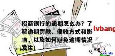 招商银行信用卡逾期半年的处理良策：关键步骤与应对策略